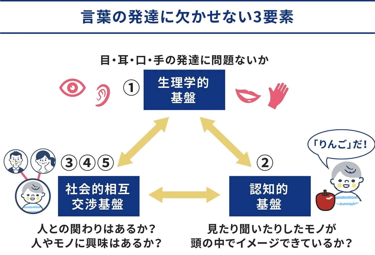 言葉の発達に欠かせない３要素