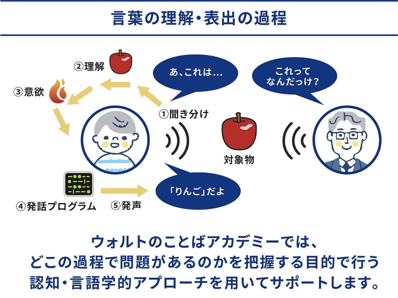 言葉の理解と表出の過程